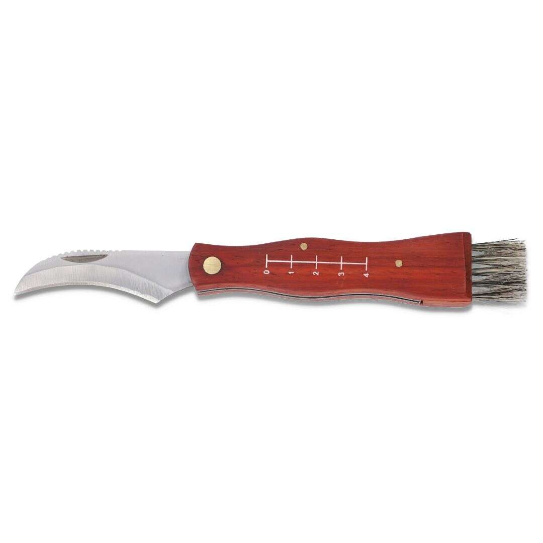Folding knife / mushroom knife