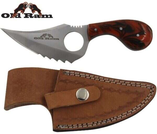 Old Ram - Fix Blade Skinner Knife - OR-793RP
