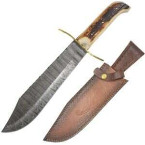 Old Ram - Handmade Full Tang Damascus Bowie Knife - DM-OR-80ST