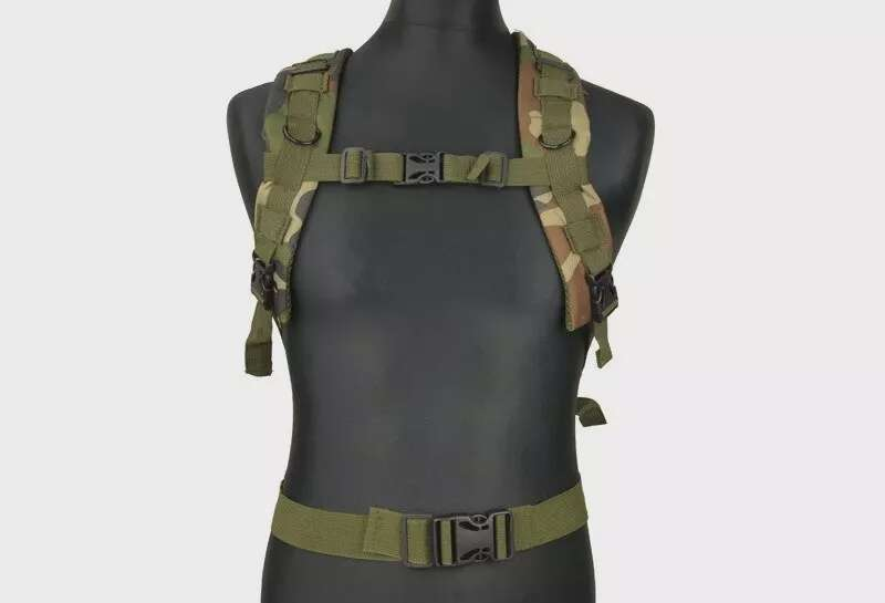 Assault Pack type backpack - woodland
