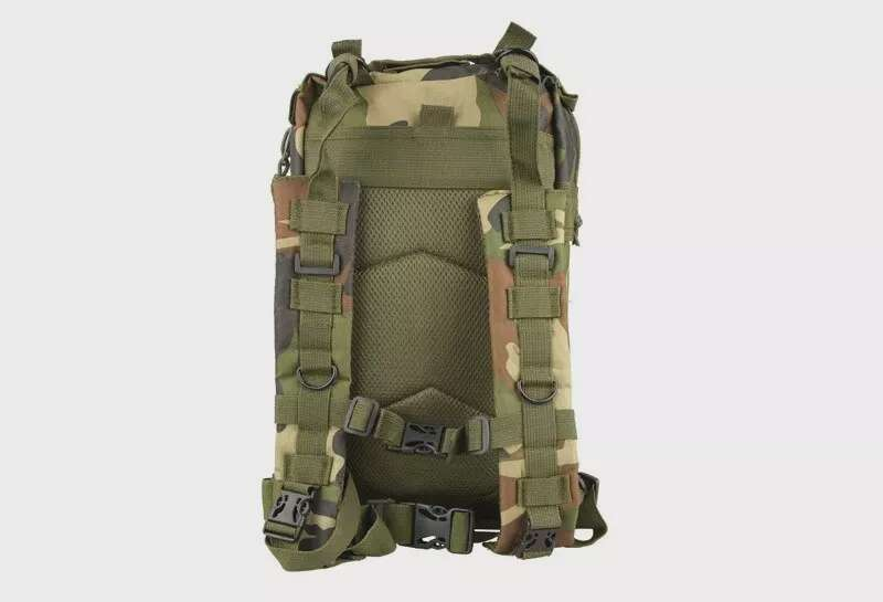 Assault Pack type backpack - woodland