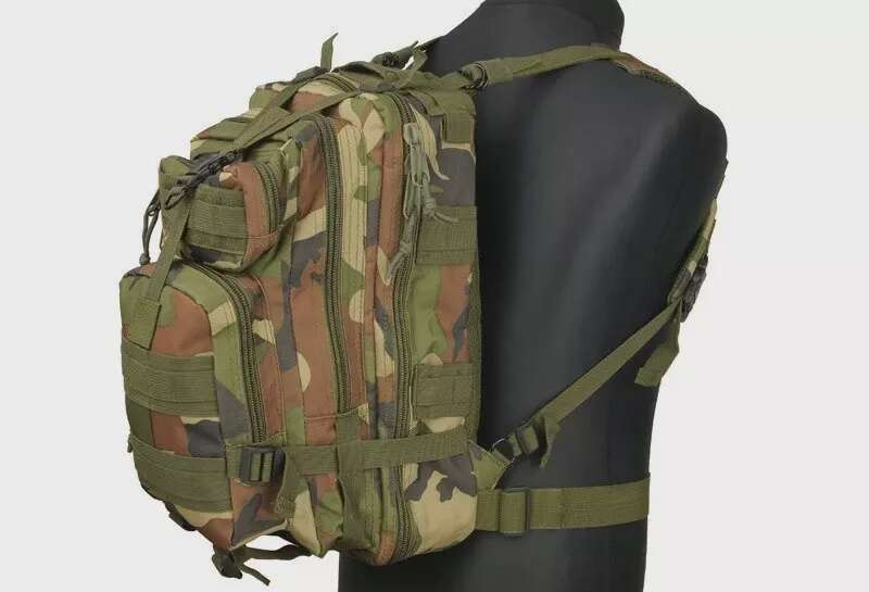 Assault Pack type backpack - woodland