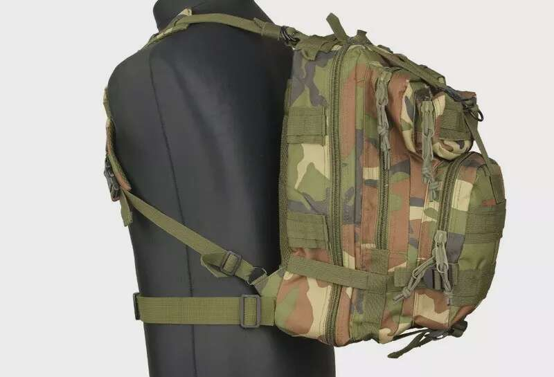 Assault Pack type backpack - woodland