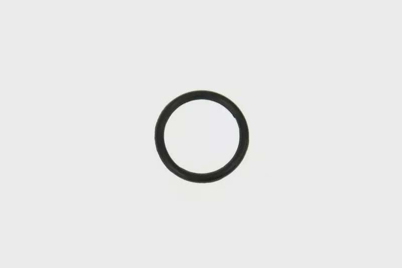 Piston Head Seal