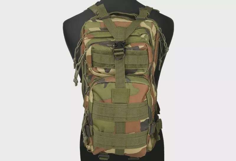 Assault Pack type backpack - woodland