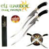 Fantasy Master - 411 - Elf Swords 2 swords + display