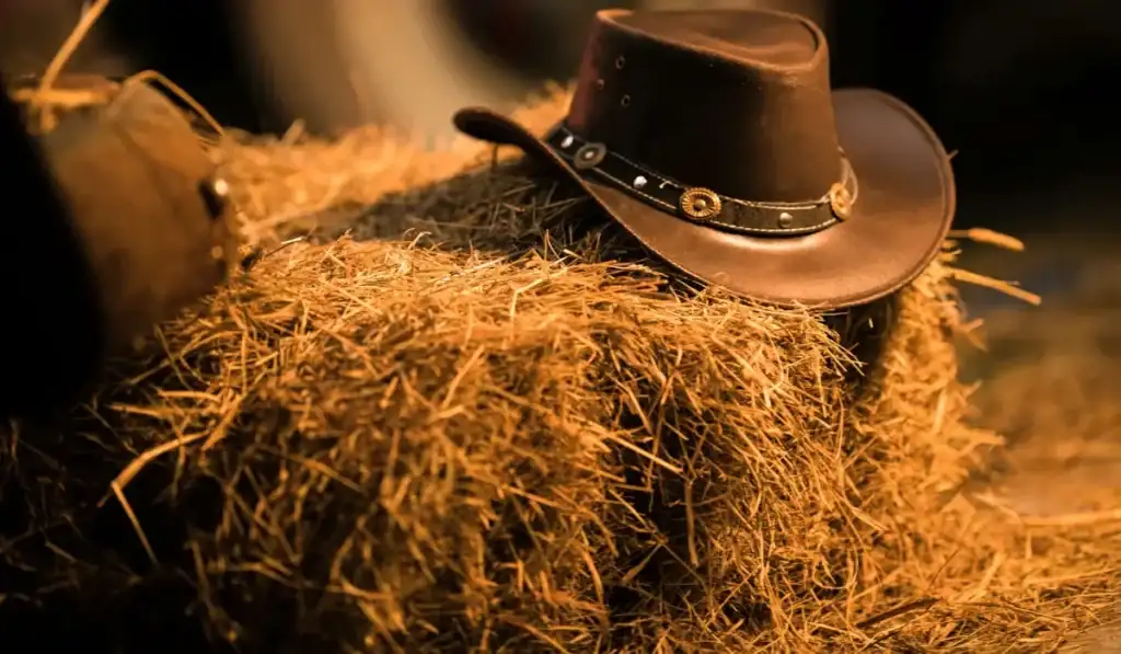 cowboy outfit herr | jjcustomworks
