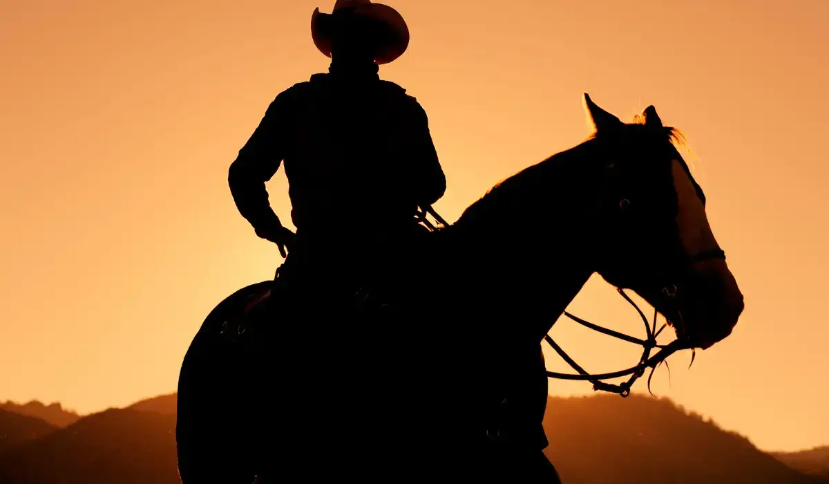 cowboy outfit herr | jjcustomworks