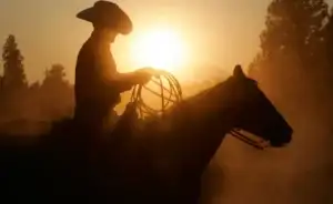 cowboyoutfit | jjcustomworks