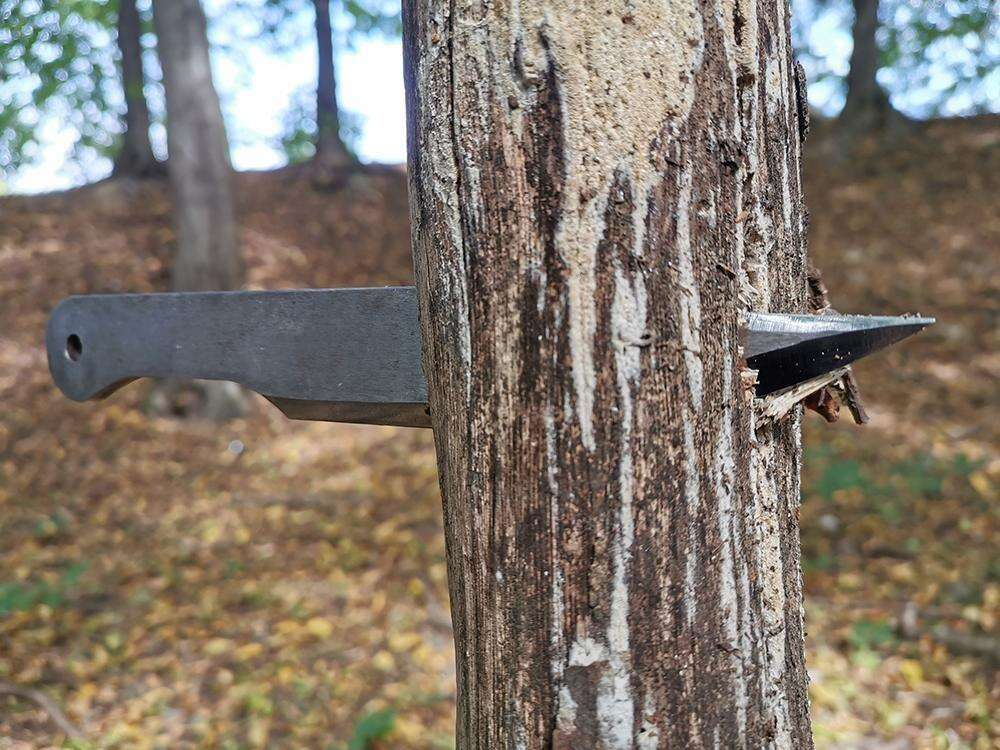 ACEJET - BOWIE - THROWING KNIFES - SET OF 3 KNIVES - BY ADAM CELADIN 5 ACEJET - BOWIE - THROWING KNIFES - SET OF 3 KNIVES - BY ADAM CELADIN